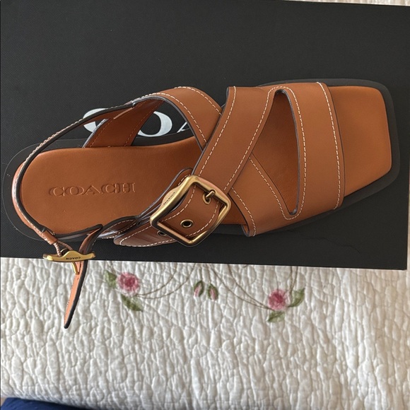 Archival Buckle Flat Sandal - Picture 4 of 7
